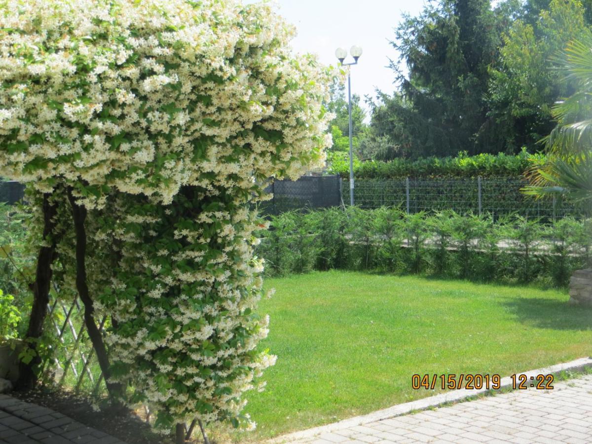 5 Palme Bed & Breakfast Terzo d' Aquileia Eksteriør bilde