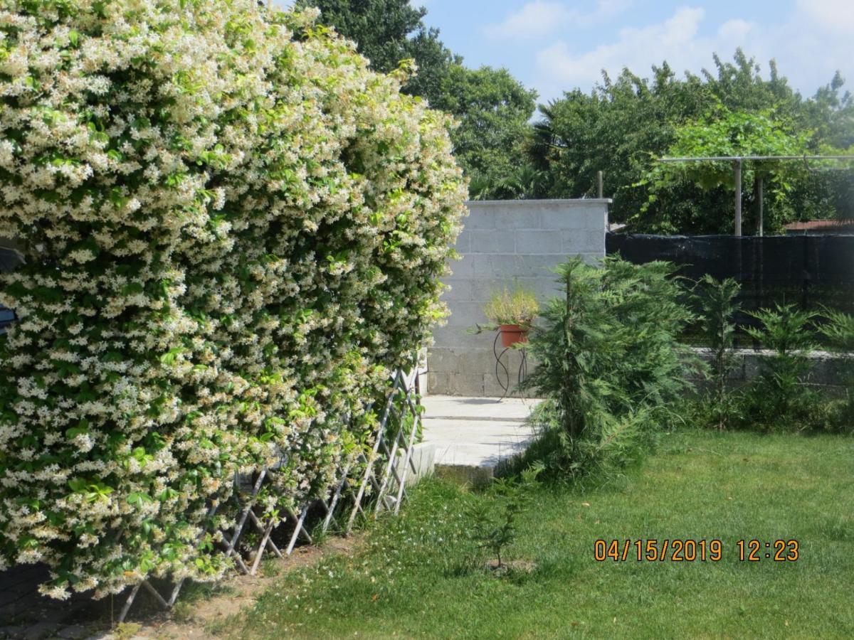 5 Palme Bed & Breakfast Terzo d' Aquileia Eksteriør bilde