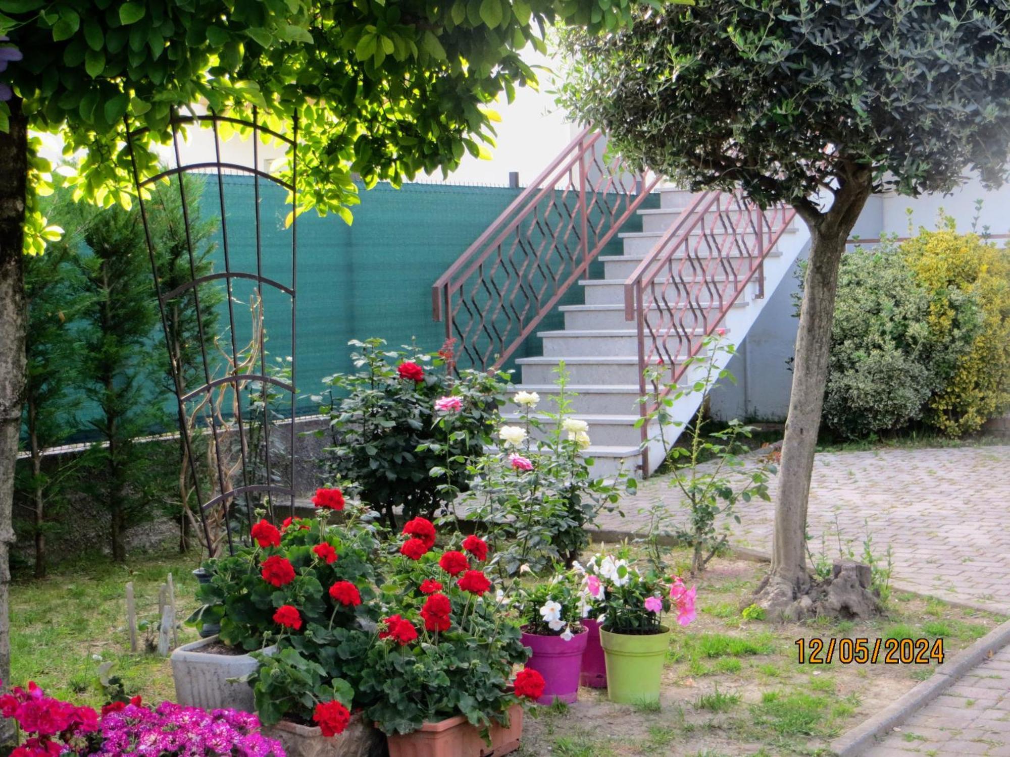 5 Palme Bed & Breakfast Terzo d' Aquileia Eksteriør bilde