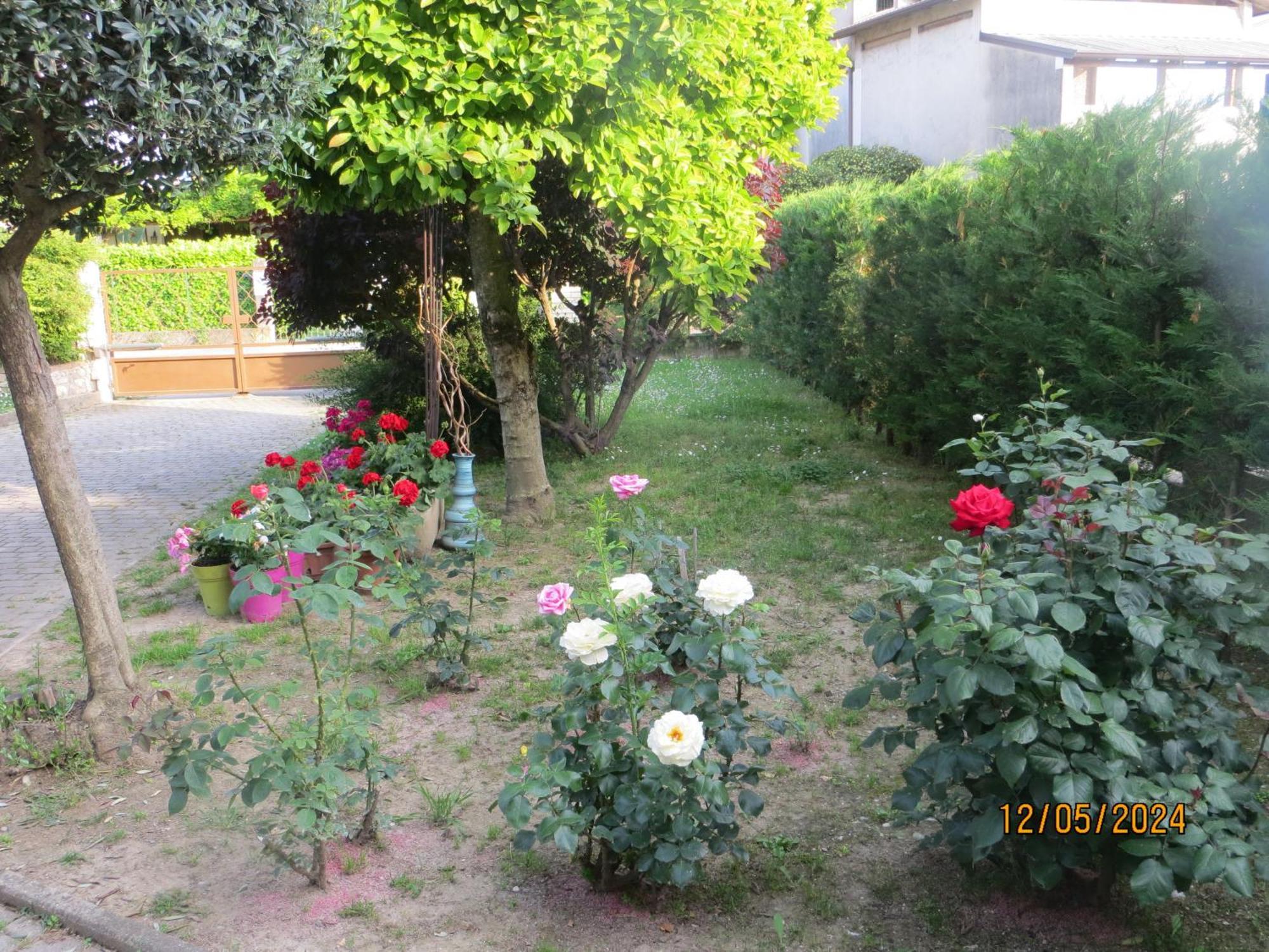 5 Palme Bed & Breakfast Terzo d' Aquileia Eksteriør bilde