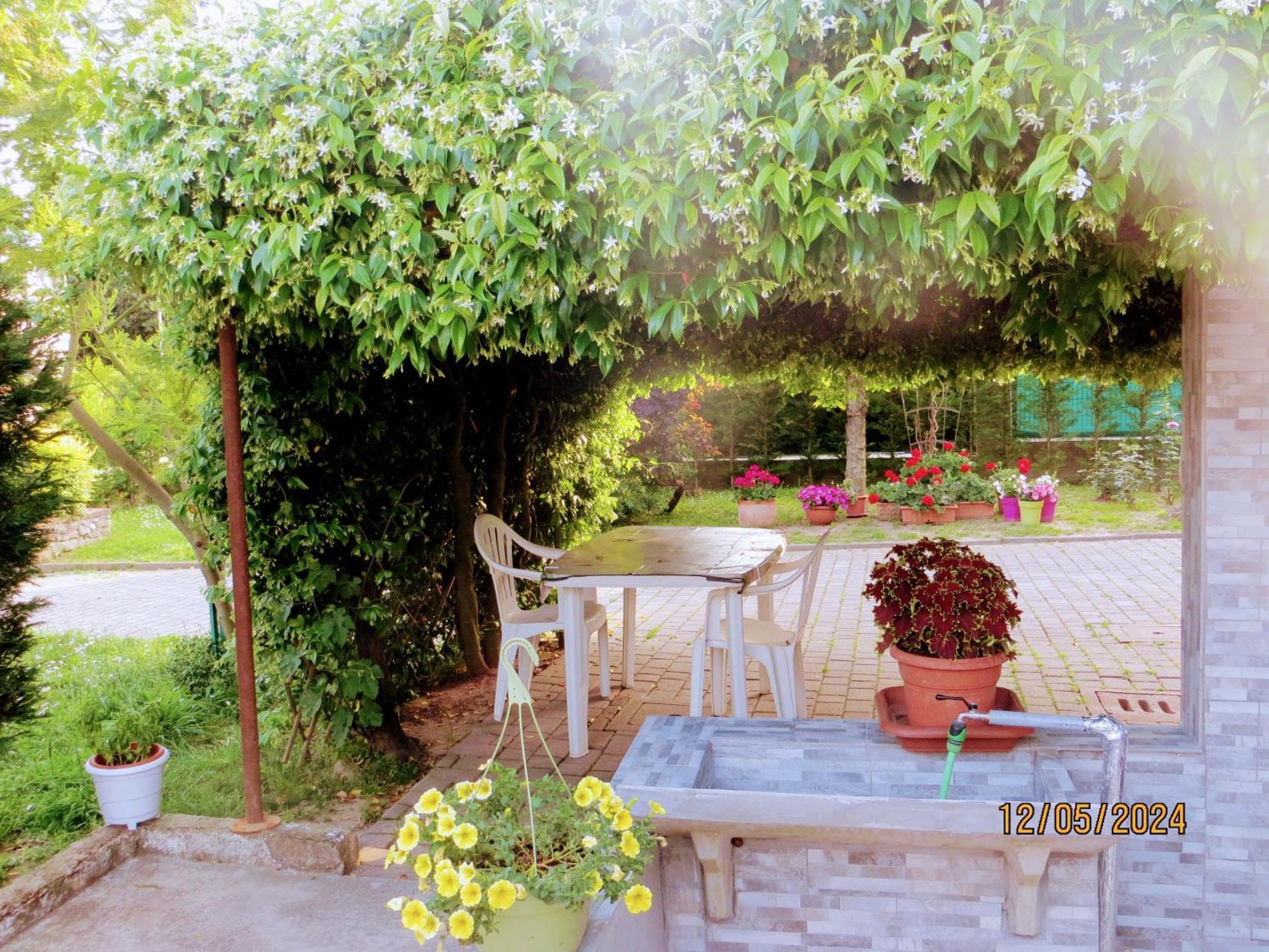 5 Palme Bed & Breakfast Terzo d' Aquileia Eksteriør bilde